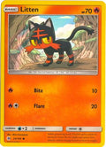 Litten (Water Web Holo) 024/149  - Holofoil Miscellaneous Cards & Products - Promo
