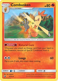 Combusken  - Reverse Holofoil Dragon Majesty - Uncommon