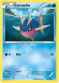 Carvanha  Plasma Storm - Common