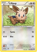 Lillipup  - Reverse Holofoil XY Base Set - Common