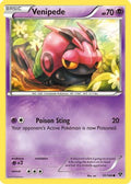 Venipede  - Reverse Holofoil XY Base Set - Common