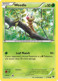 Weedle 003  XY Base Set - Common