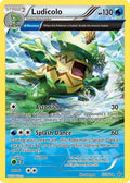 Ludicolo (Alpha) 037  - Reverse Holofoil XY  Primal Clash - Rare