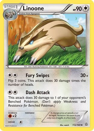 Linoone  XY  Primal Clash - Uncommon