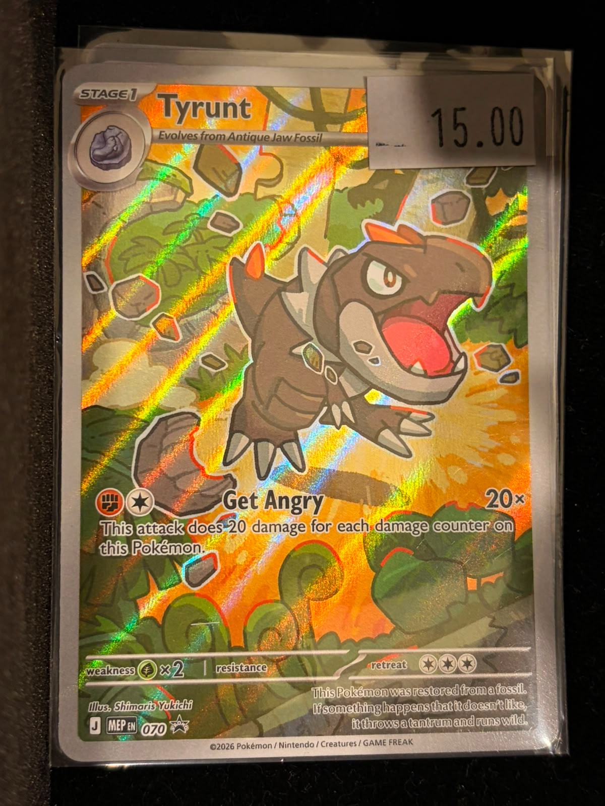 Pokémon Tyrunt 070