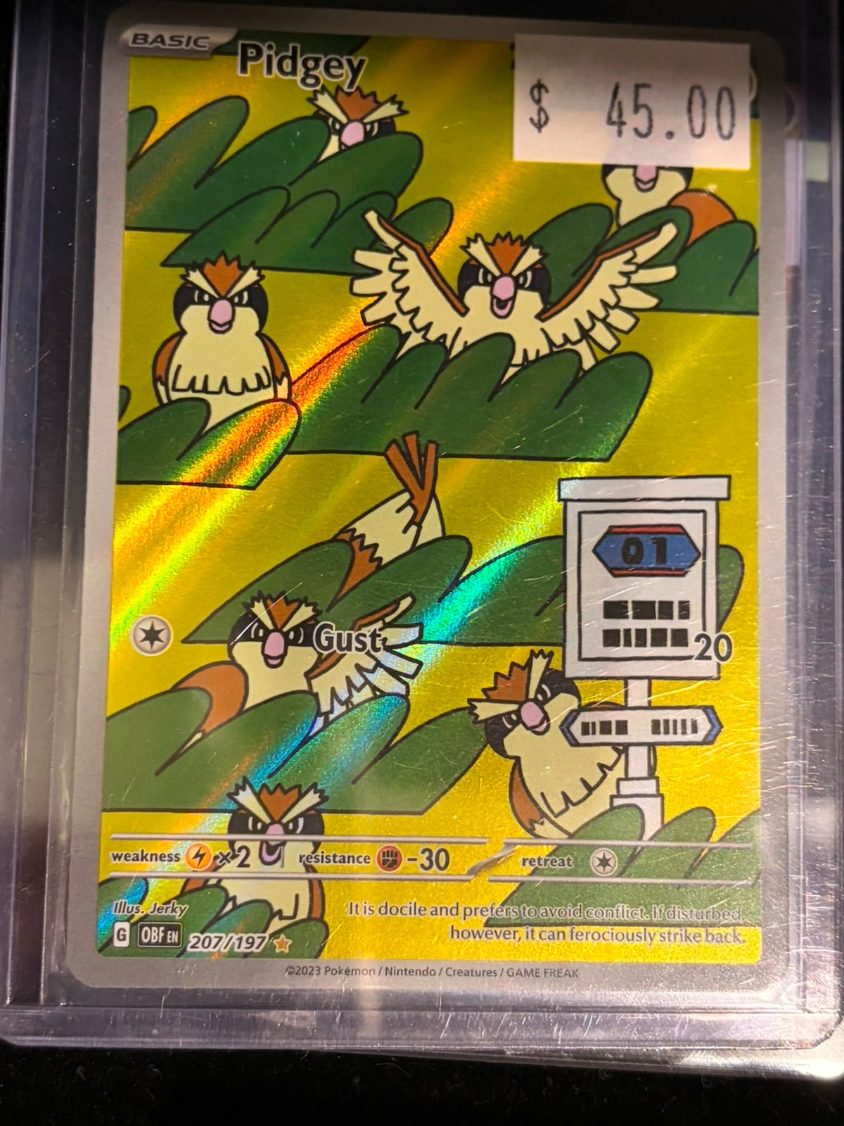 Pokémon Pidgey 207/197