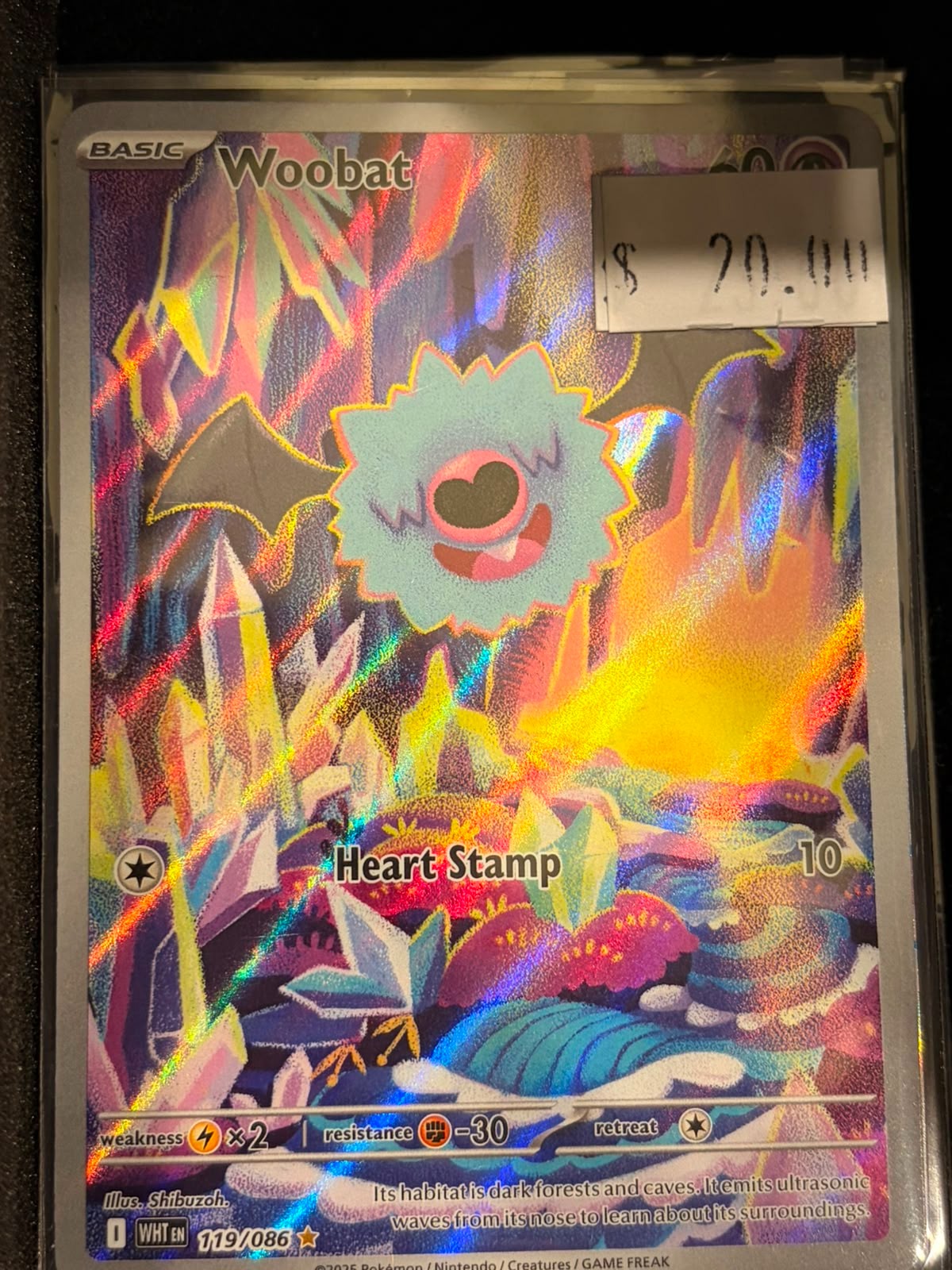 Pokémon Woobat WHT 119/086