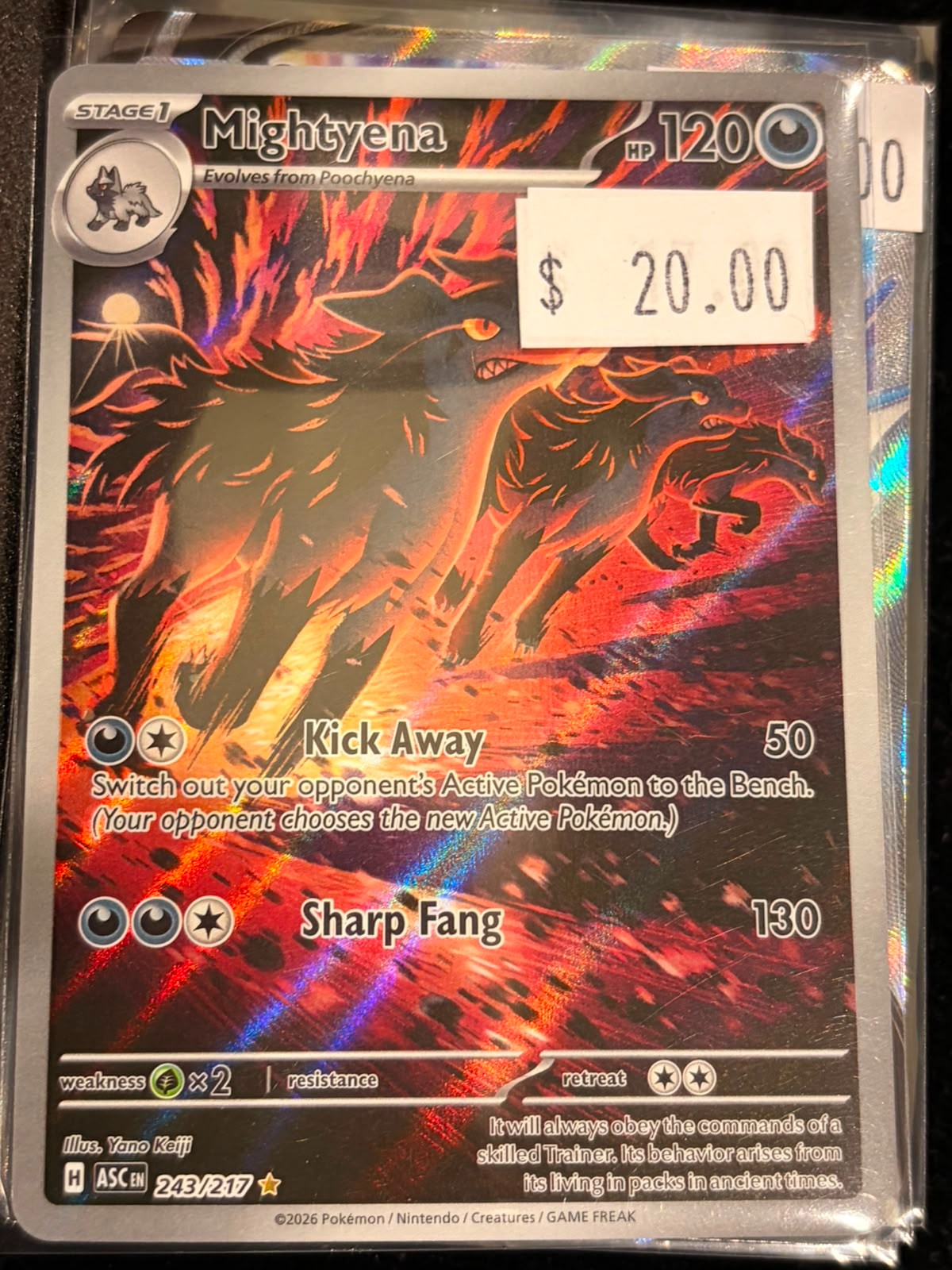 Pokémon Mightyena ASC 243/217