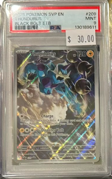 Pokemon Thundurus 209