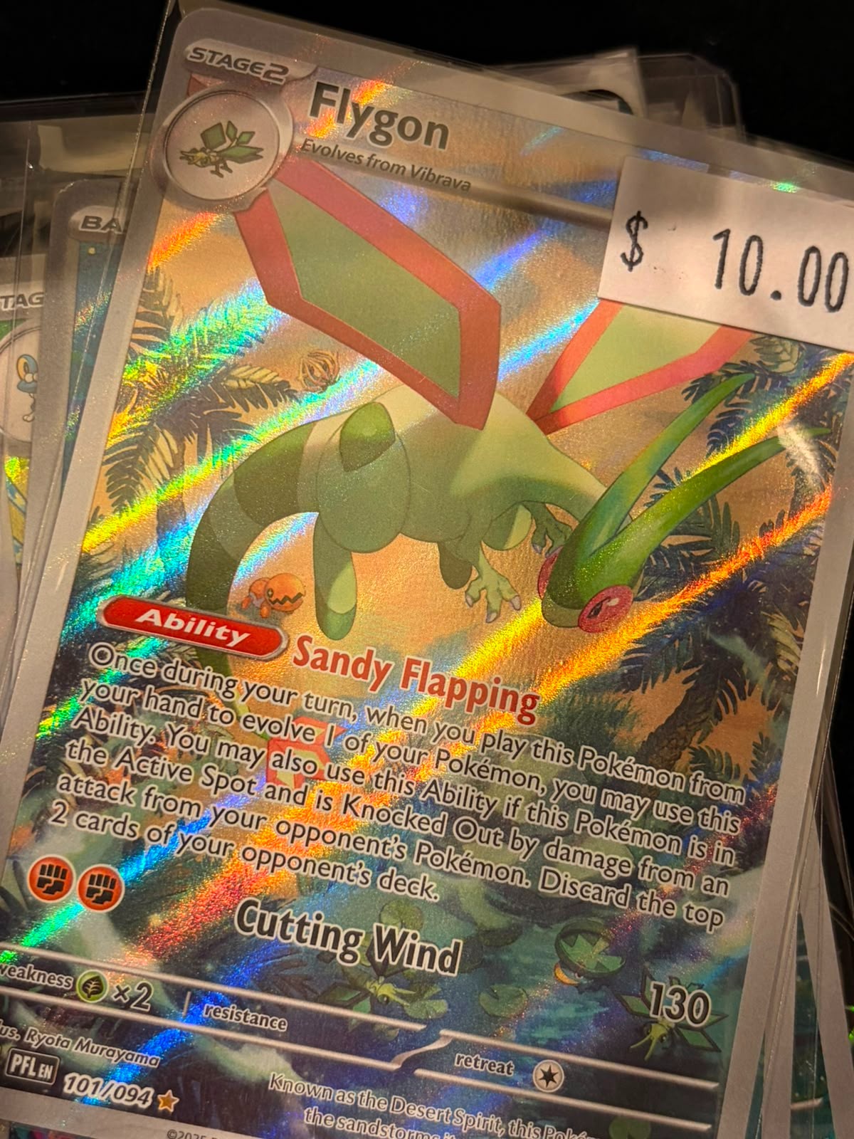Pokémon Flygon 101/094