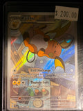 Pokémon Raichu 211/193